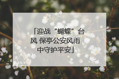 迎战“蝴蝶”台风 保亭公安风雨中守护平安