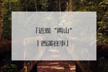近观“两山”丨西溪往事