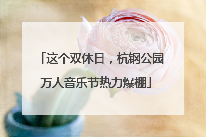 这个双休日，杭钢公园万人音乐节热力爆棚