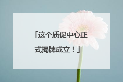这个质促中心正式揭牌成立！