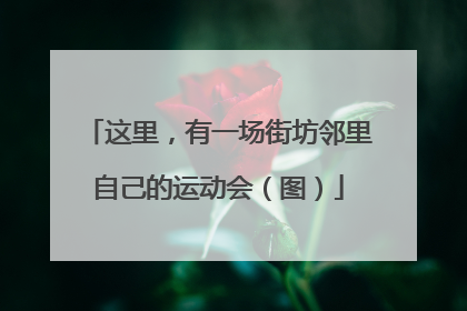 这里，有一场街坊邻里自己的运动会（图）