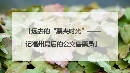 远去的“票夹时光”——记福州最后的公交售票员