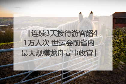 连续3天接待游客超41万人次 世运会前省内最大规模龙舟赛事收官