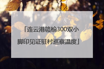 连云港赣榆300双小脚印见证驻村巡察温度