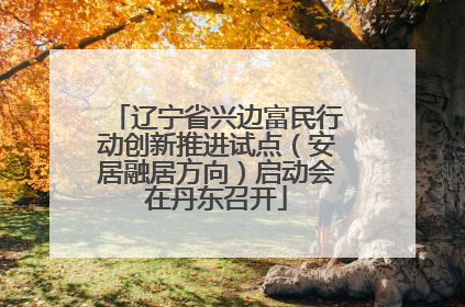 辽宁省兴边富民行动创新推进试点（安居融居方向）启动会在丹东召开