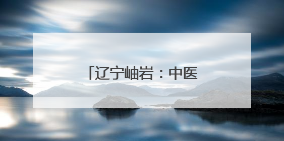 辽宁岫岩：中医药夜市护健康