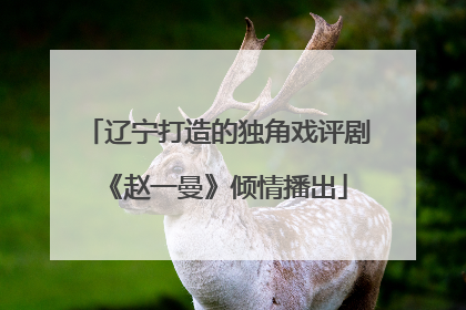 辽宁打造的独角戏评剧《赵一曼》倾情播出