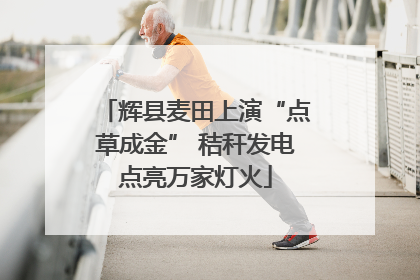 辉县麦田上演“点草成金” 秸秆发电点亮万家灯火