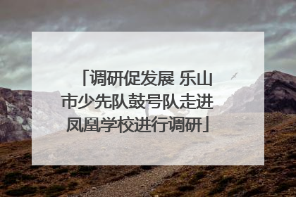 调研促发展 乐山市少先队鼓号队走进凤凰学校进行调研