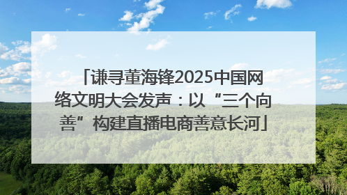 谦寻董海锋2025中国网络文明大会发声：以“三个向善”构建直播电商善意长河