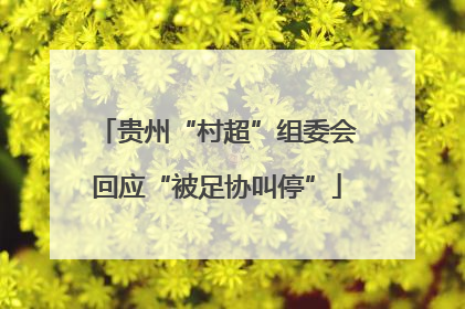 贵州“村超”组委会回应“被足协叫停”
