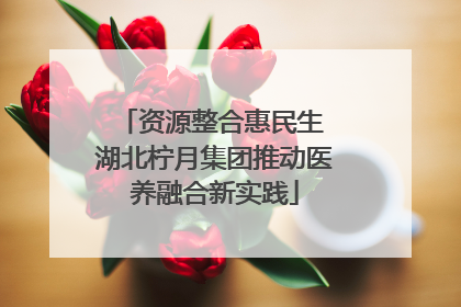 资源整合惠民生 湖北柠月集团推动医养融合新实践