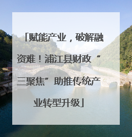 赋能产业，破解融资难！浦江县财政“三聚焦”助推传统产业转型升级
