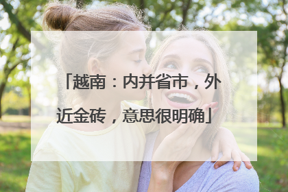 越南：内并省市，外近金砖，意思很明确
