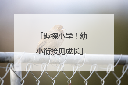 趣探小学！幼小衔接见成长