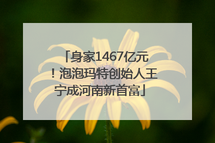 身家1467亿元！泡泡玛特创始人王宁成河南新首富