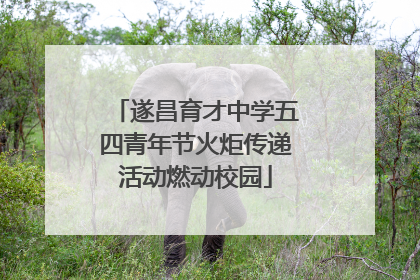 遂昌育才中学五四青年节火炬传递活动燃动校园
