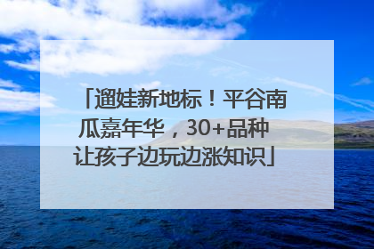 遛娃新地标！平谷南瓜嘉年华，30+品种让孩子边玩边涨知识