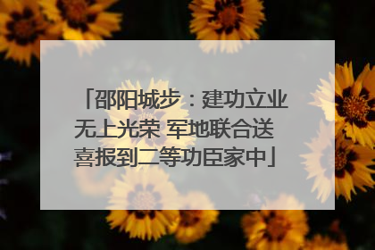 邵阳城步：建功立业无上光荣 军地联合送喜报到二等功臣家中