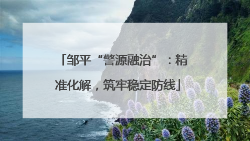 邹平“警源融治”：精准化解，筑牢稳定防线