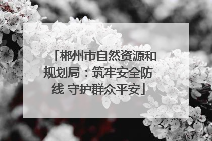 郴州市自然资源和规划局：筑牢安全防线 守护群众平安
