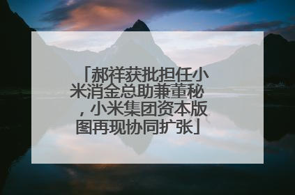 郝祥获批担任小米消金总助兼董秘，小米集团资本版图再现协同扩张