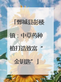 鄄城县彭楼镇：中草药种植打造致富“金钥匙”