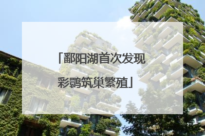 鄱阳湖首次发现彩鹮筑巢繁殖