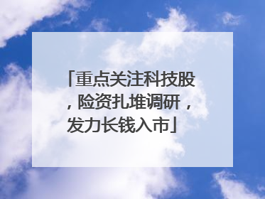 重点关注科技股，险资扎堆调研，发力长钱入市