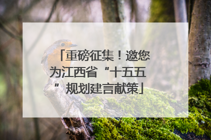 重磅征集！邀您为江西省“十五五”规划建言献策