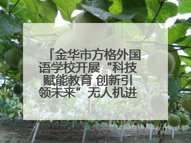 金华市方格外国语学校开展“科技赋能教育 创新引领未来”无人机进校园主题活动