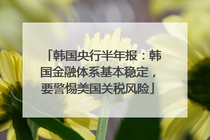 韩国央行半年报：韩国金融体系基本稳定，要警惕美国关税风险