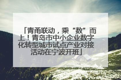 青甬联动，乘“数”而上！青岛市中小企业数字化转型城市试点产业对接活动在宁波开班