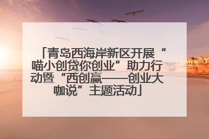 青岛西海岸新区开展“喵小创贷你创业”助力行动暨“西创赢——创业大咖说”主题活动