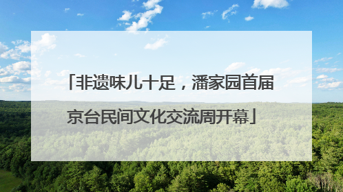 非遗味儿十足，潘家园首届京台民间文化交流周开幕