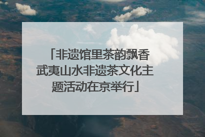 非遗馆里茶韵飘香 武夷山水非遗茶文化主题活动在京举行