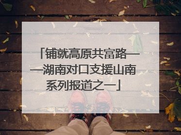 铺就高原共富路——湖南对口支援山南系列报道之一