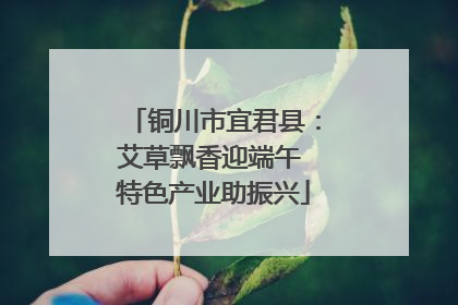 铜川市宜君县：艾草飘香迎端午 特色产业助振兴