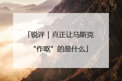 锐评｜真正让马斯克“作呕”的是什么