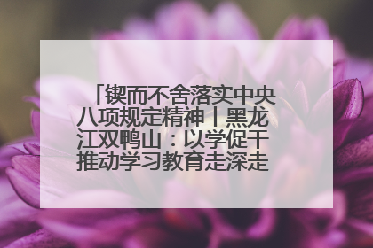 锲而不舍落实中央八项规定精神丨黑龙江双鸭山：以学促干推动学习教育走深走实 从小事入手写好“民生答卷”