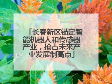 长春新区锚定智能机器人和传感器产业，抢占未来产业发展制高点