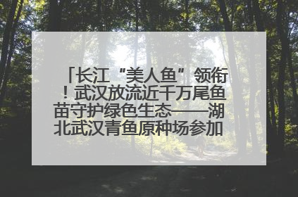 长江“美人鱼”领衔！武汉放流近千万尾鱼苗守护绿色生态——湖北武汉青鱼原种场参加2025年“全国放鱼日”增殖放流活动