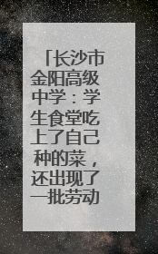 长沙市金阳高级中学：学生食堂吃上了自己种的菜，还出现了一批劳动能手