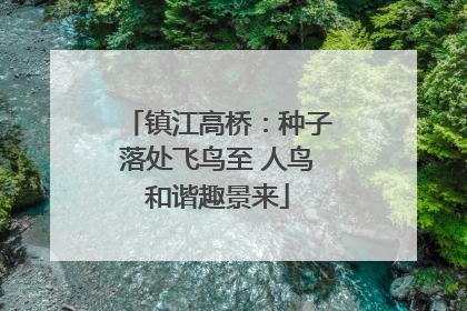 镇江高桥：种子落处飞鸟至 人鸟和谐趣景来