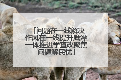 问题在一线解决 作风在一线提升鹰潭一体推进学查改聚焦问题解民忧