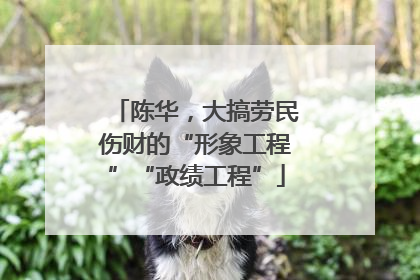 陈华，大搞劳民伤财的“形象工程”“政绩工程”