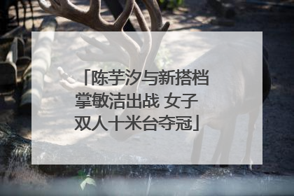 陈芋汐与新搭档掌敏洁出战 女子双人十米台夺冠