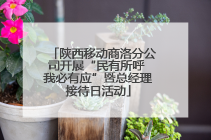 陕西移动商洛分公司开展“民有所呼 我必有应”暨总经理接待日活动