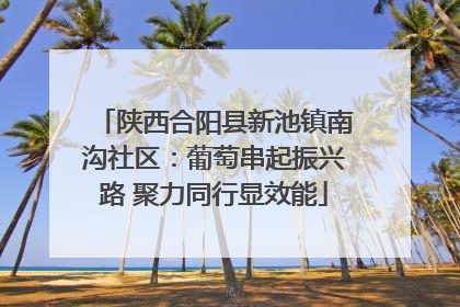 陕西合阳县新池镇南沟社区：葡萄串起振兴路 聚力同行显效能