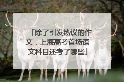 除了引发热议的作文，上海高考首场语文科目还考了哪些